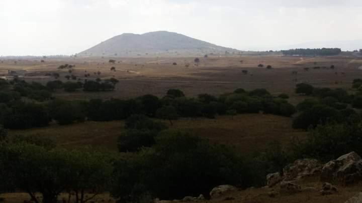 יער האלונים Appartement Ein Zivan Buitenkant foto